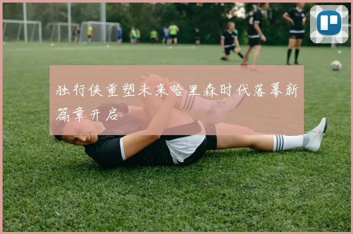 独行侠重塑未来哈里森时代落幕新篇章开启