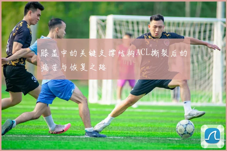 膝盖中的关键支撑结构ACL撕裂后的痛苦与恢复之路